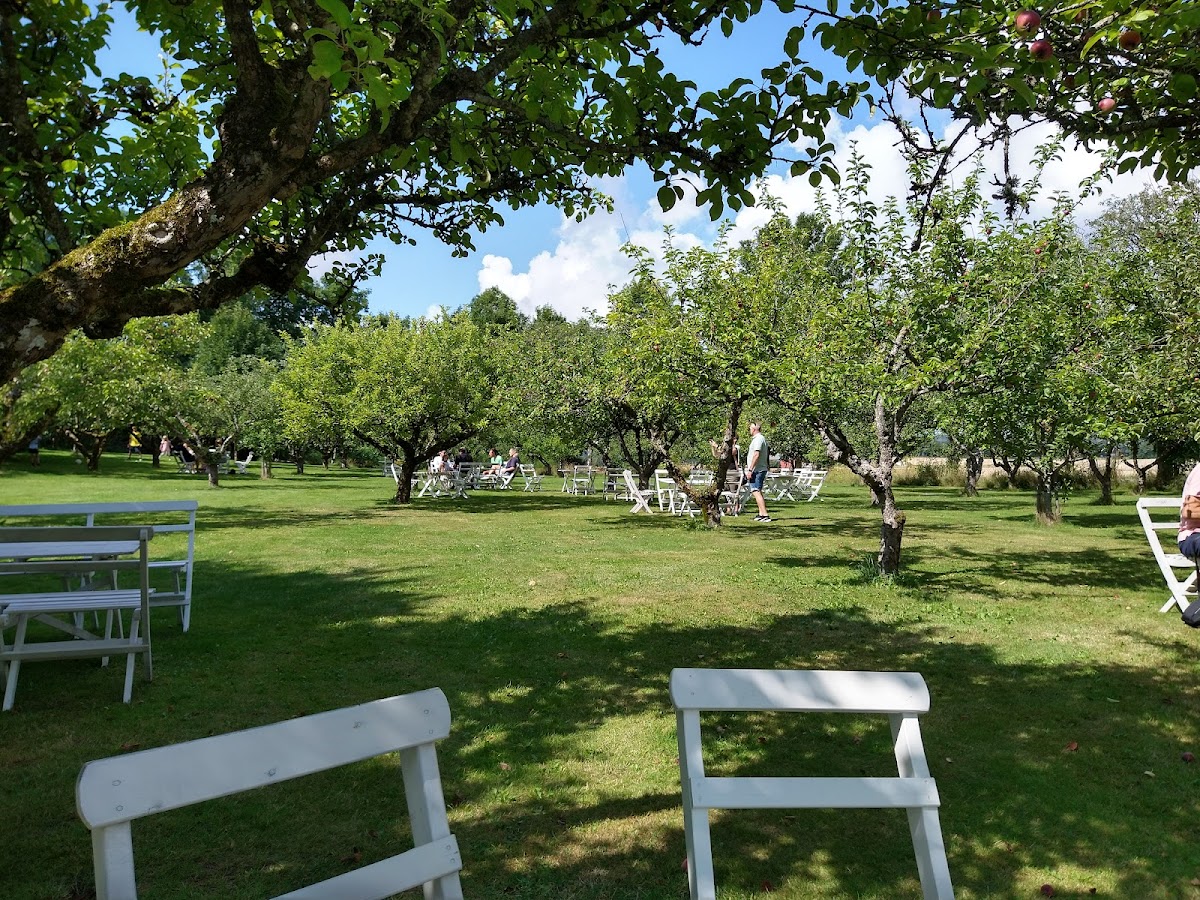 Apple Garden Cafe & Studio - 4