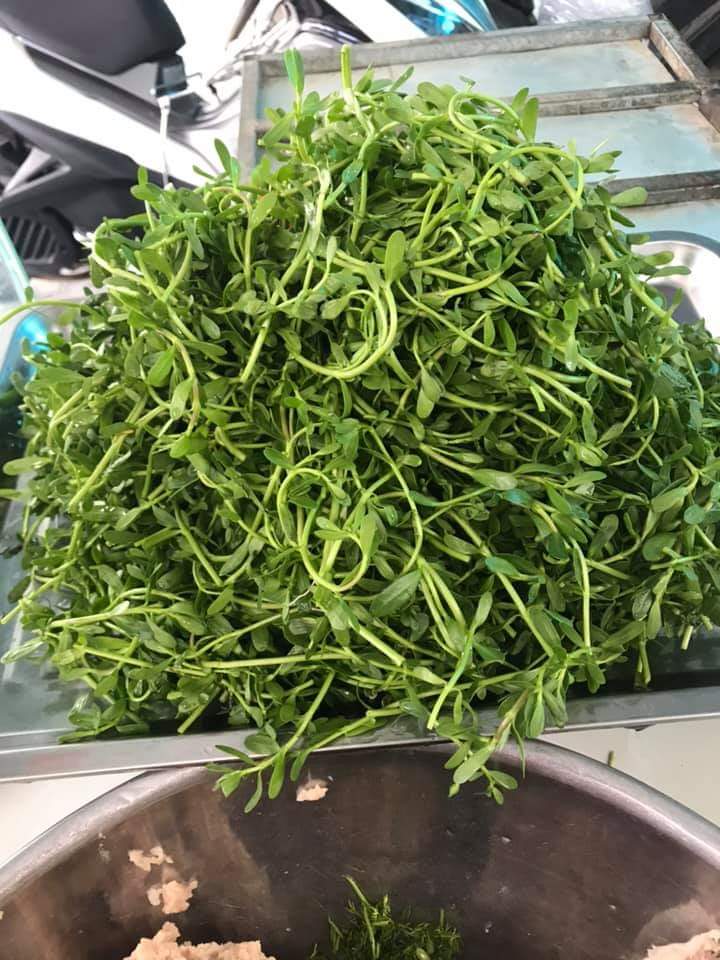 Cafe Suối Đá - 5