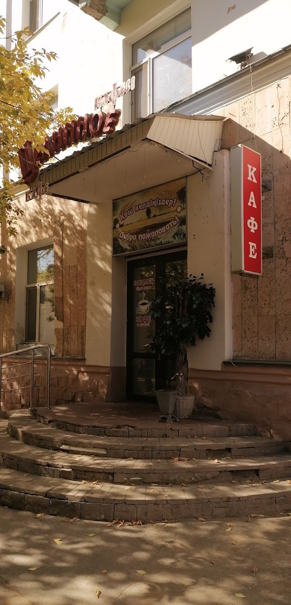 Kafe 'Tselinnaya'