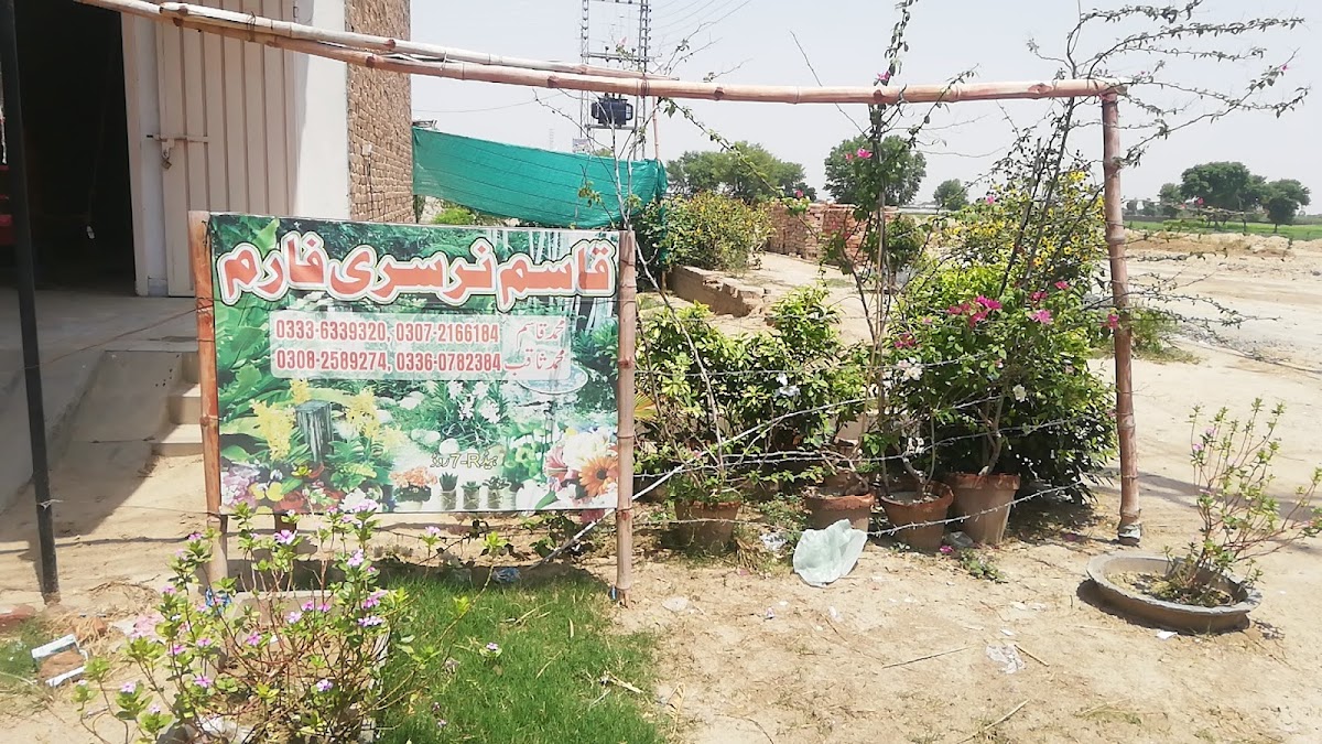 Chaska Point (Bismillah Cafe) - 2