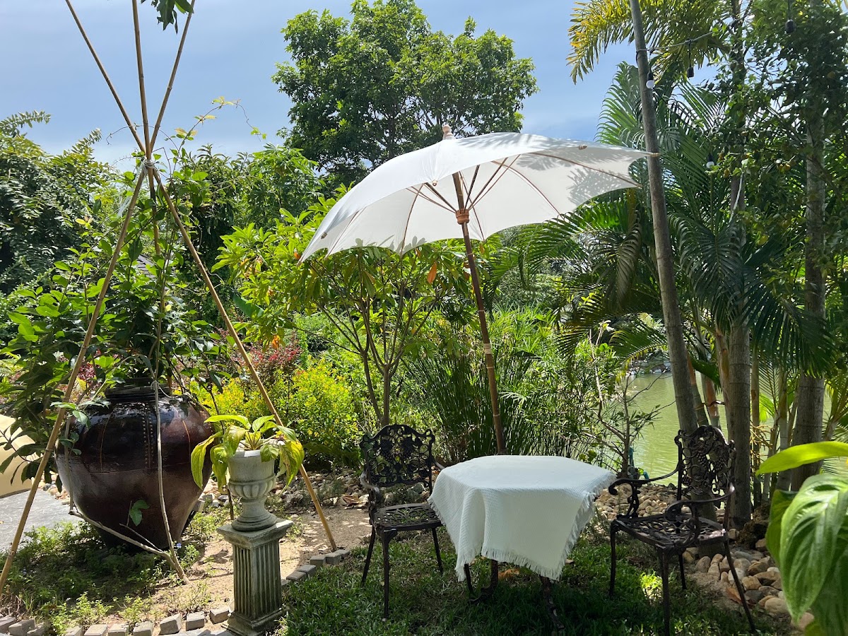 Wild a While Cafe & Coffee - 3