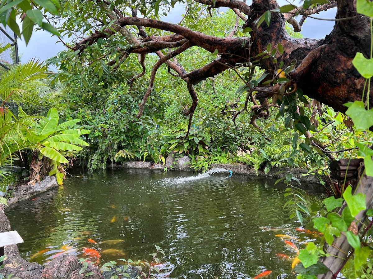 Wild a While Cafe & Coffee - 4