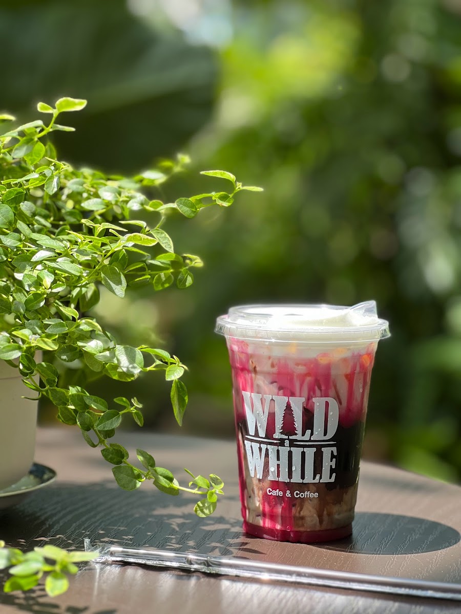Wild a While Cafe & Coffee - 8