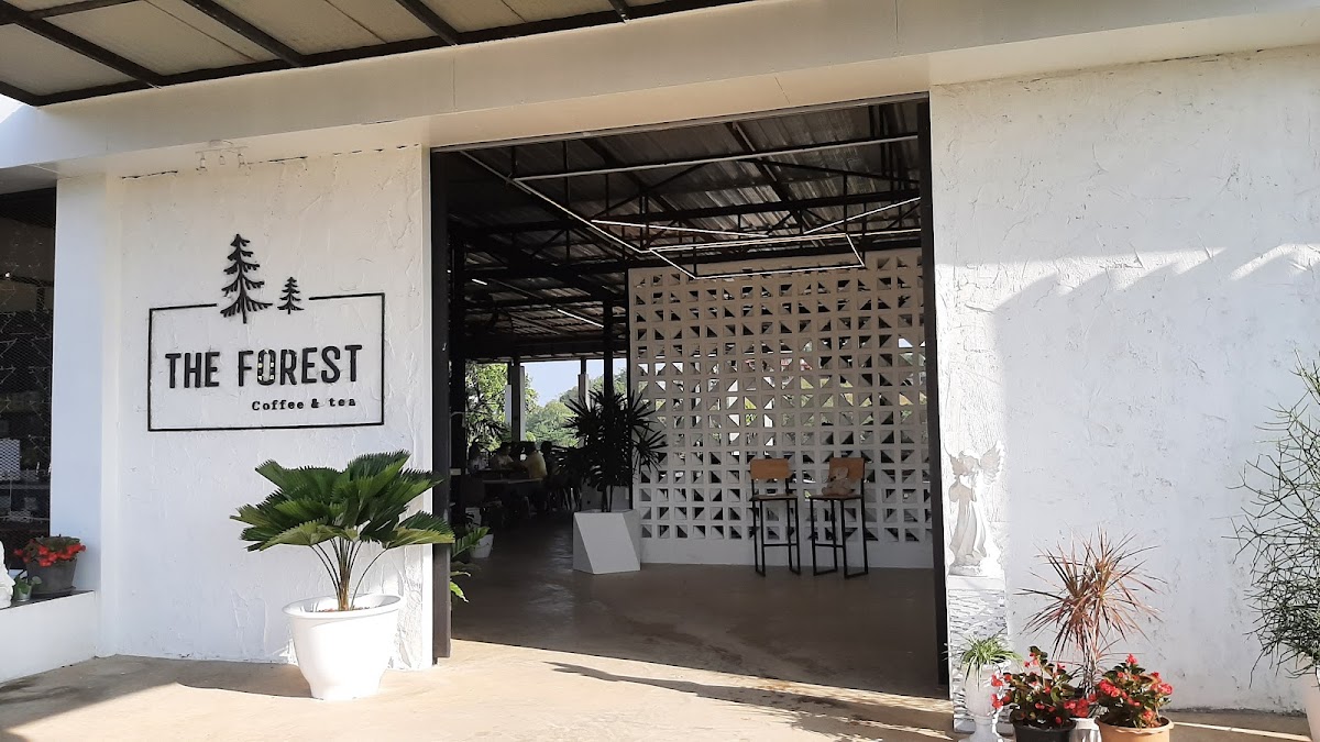 The Forest coffee & tea
