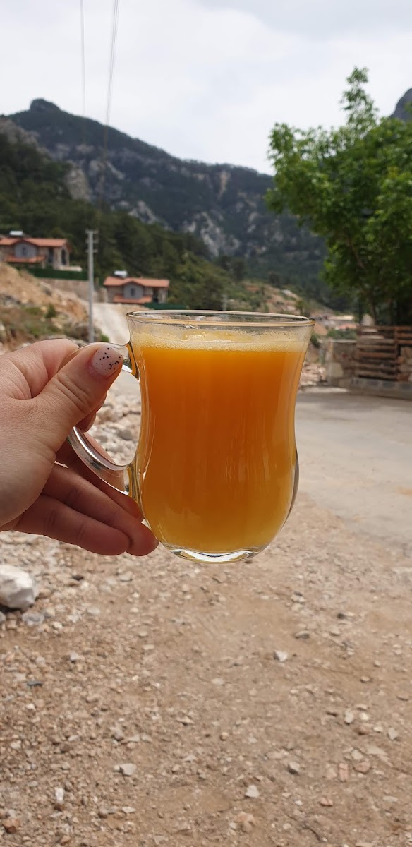 Sunset Cafe & Restaurant - 8