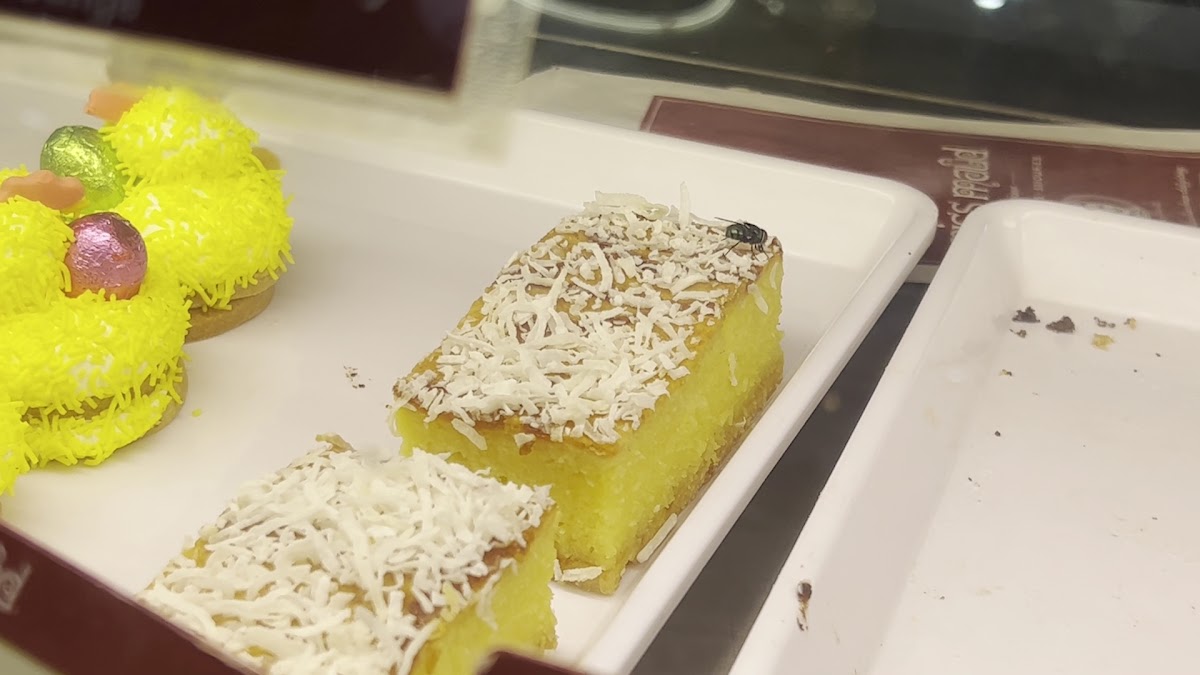 Miss Maud Belmont - 2