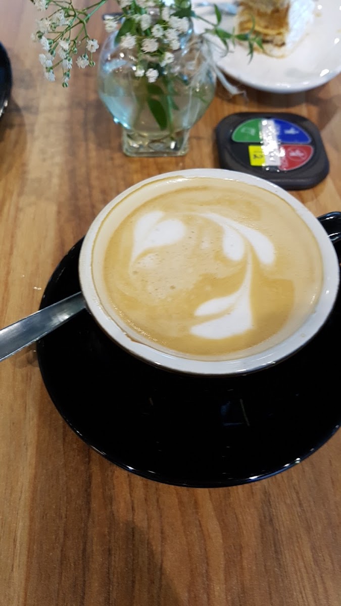 madcatz concept store - 8