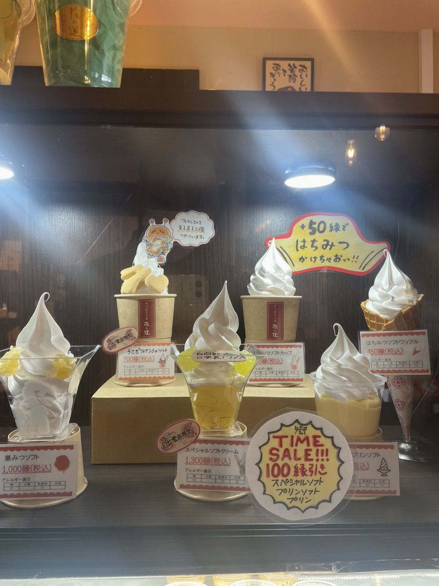 Mitsubachikobo Hananomichi Izumotaishaten - 10