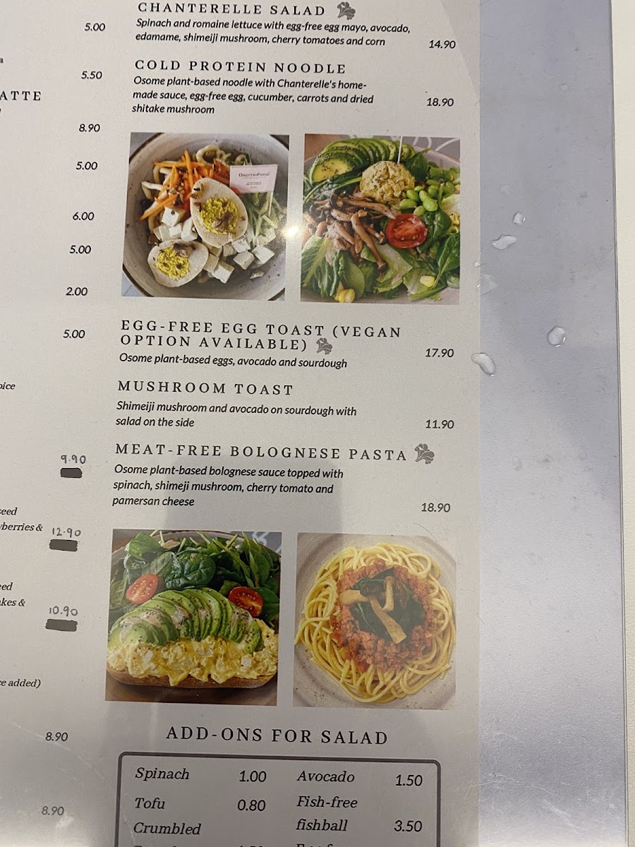 The Barking Bean - 6