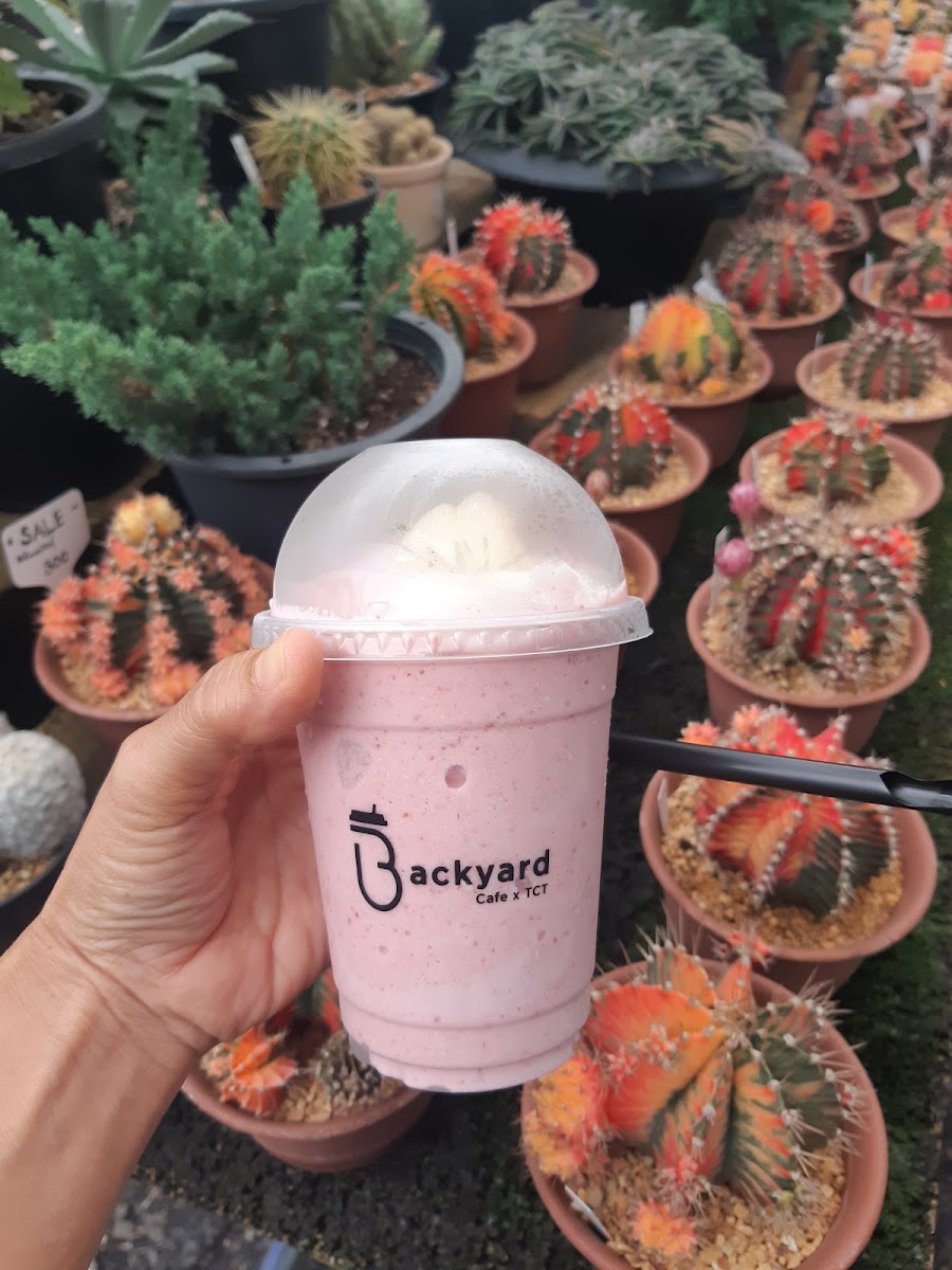 Backyard Cafe X TCT - 10