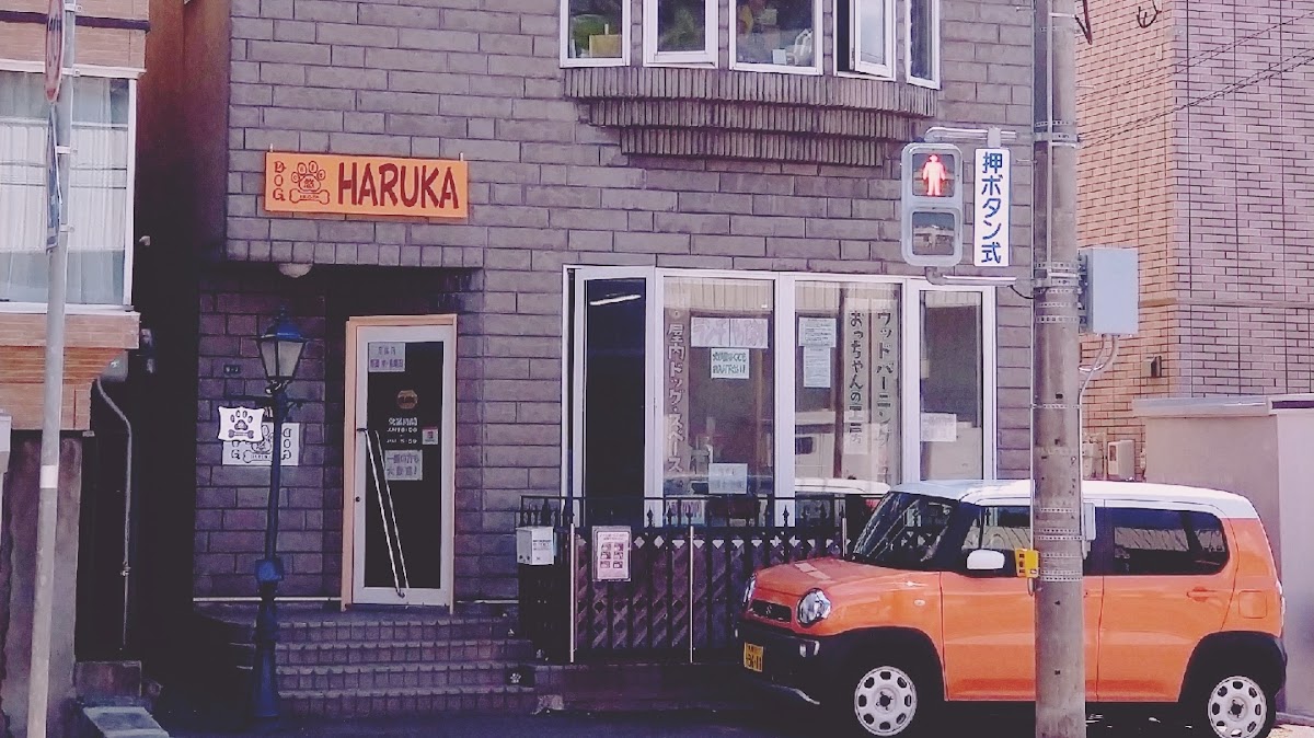 ドッグカフェ 悠HARUKA