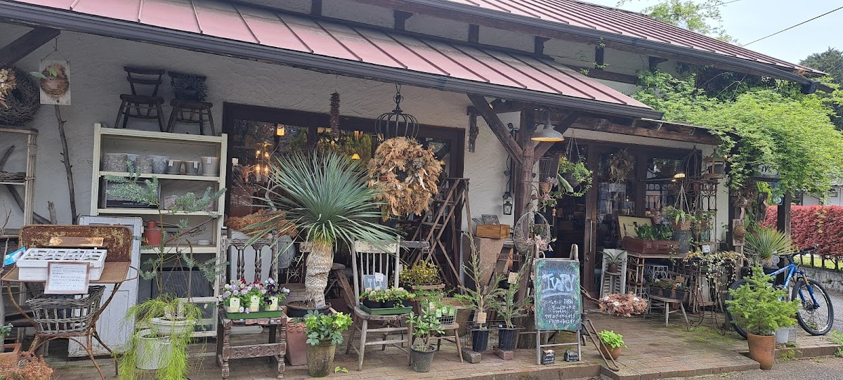 Flower and cafe 花空間 ivory