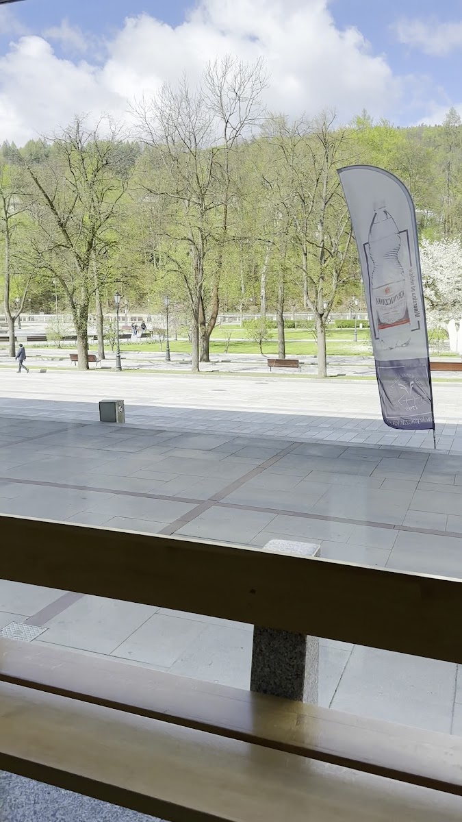 Kawiarnia Kryniczanka Cafe - 2