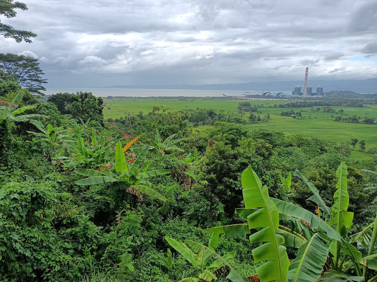 Warung Kopi Teduh 'View Plabuhan Ratu'