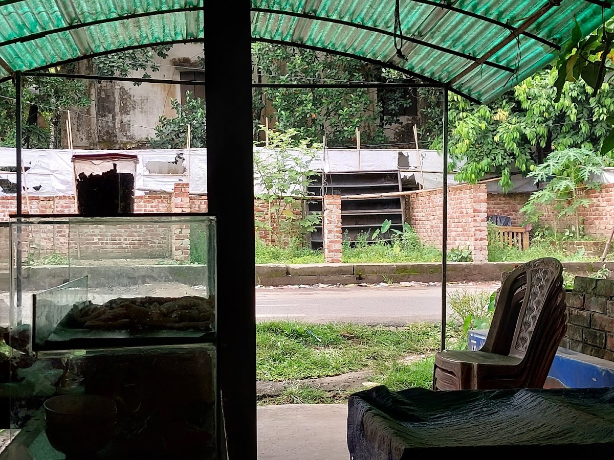 Gawciya Depatmantal Store