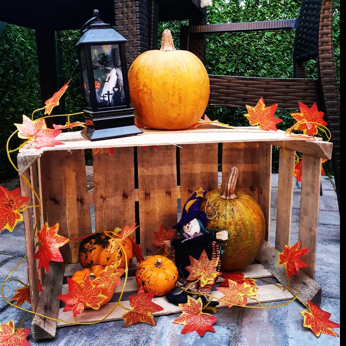 Igraonica i Rođendaonica Svet Čarolije - 4