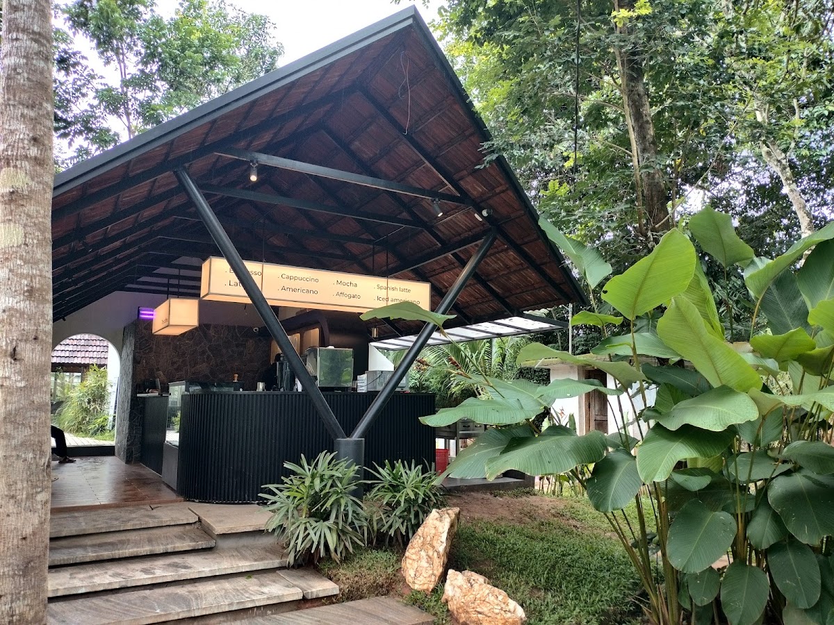 The Caffeine Craft - 3