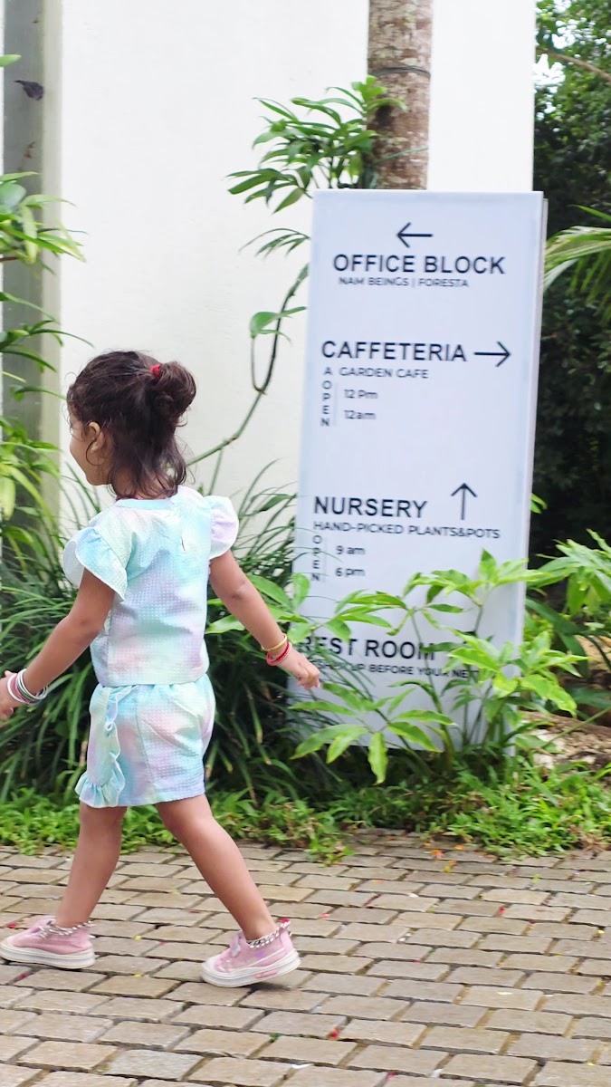 The Caffeine Craft - 5