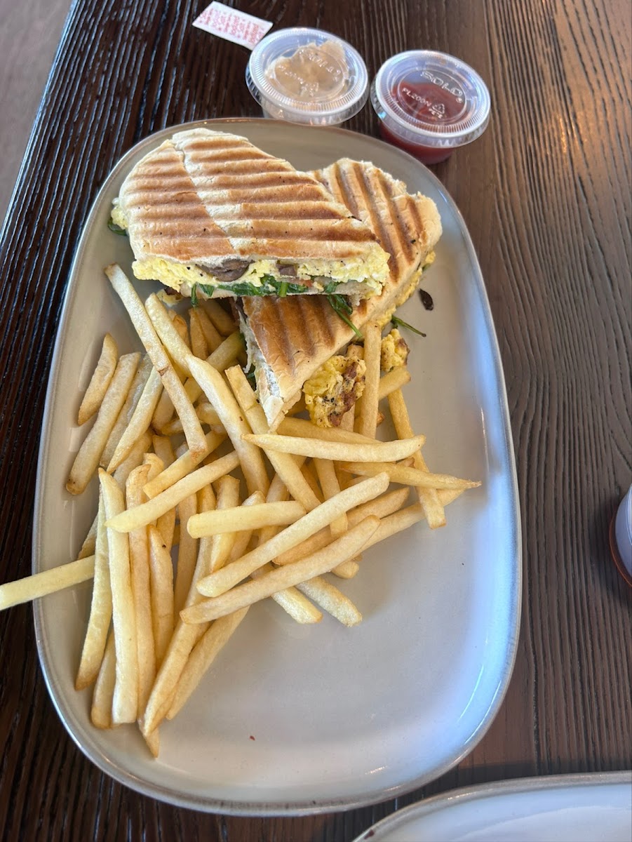 Hazel Origin Coffee LLC - 10