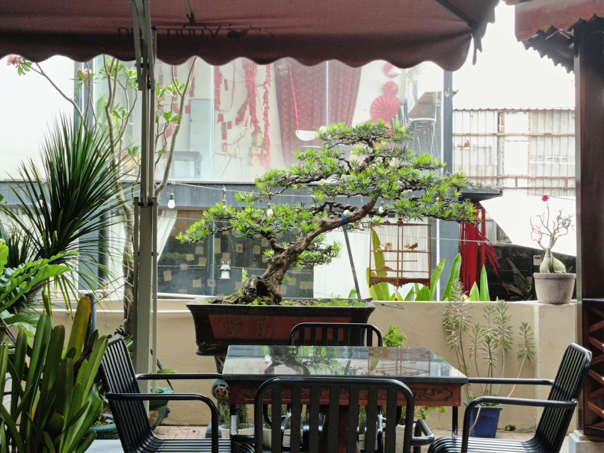 Vườn Lan Coffee & Tea | Cà phê ngon Củ Chi - 4