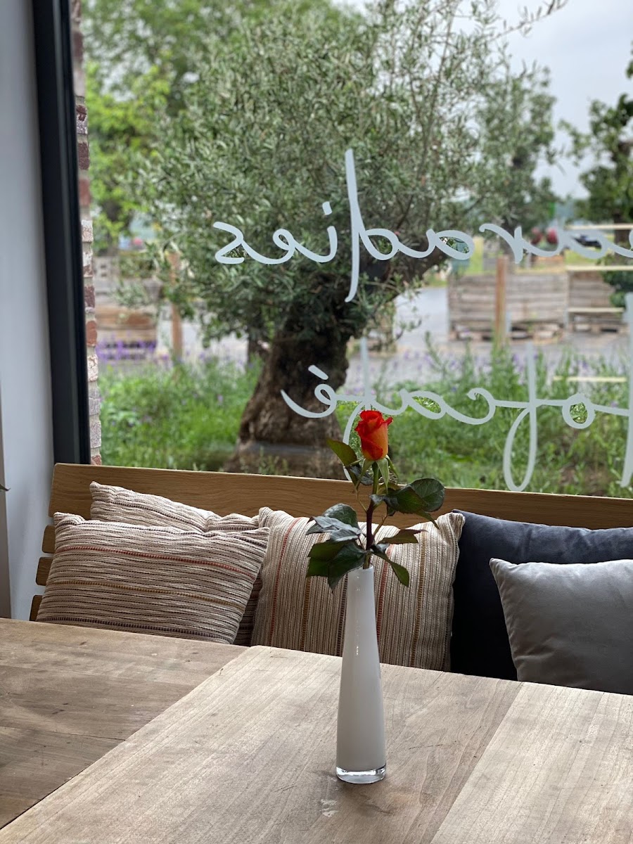 Apfelparadies Hofcafé