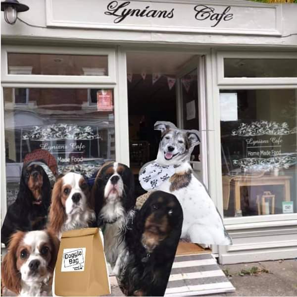 Lynians DOG FRIENDLY Cafe.