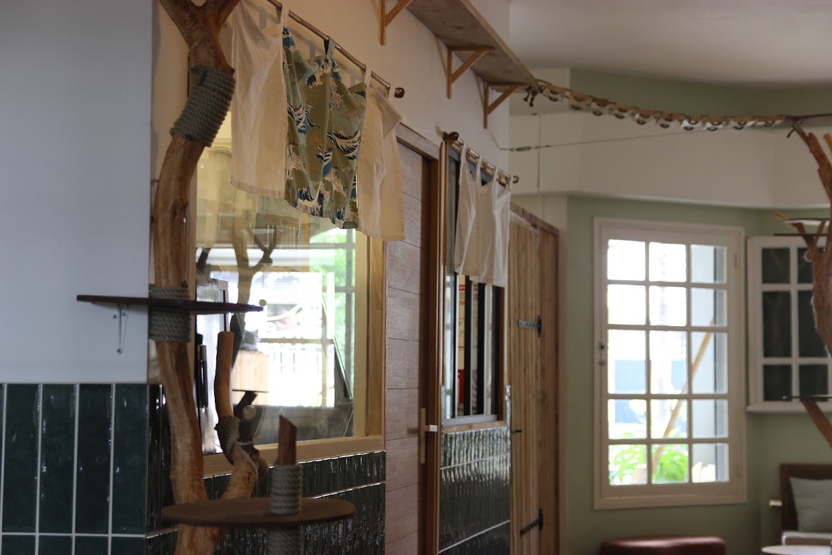 Ryokaï Café - Café à chats - 7