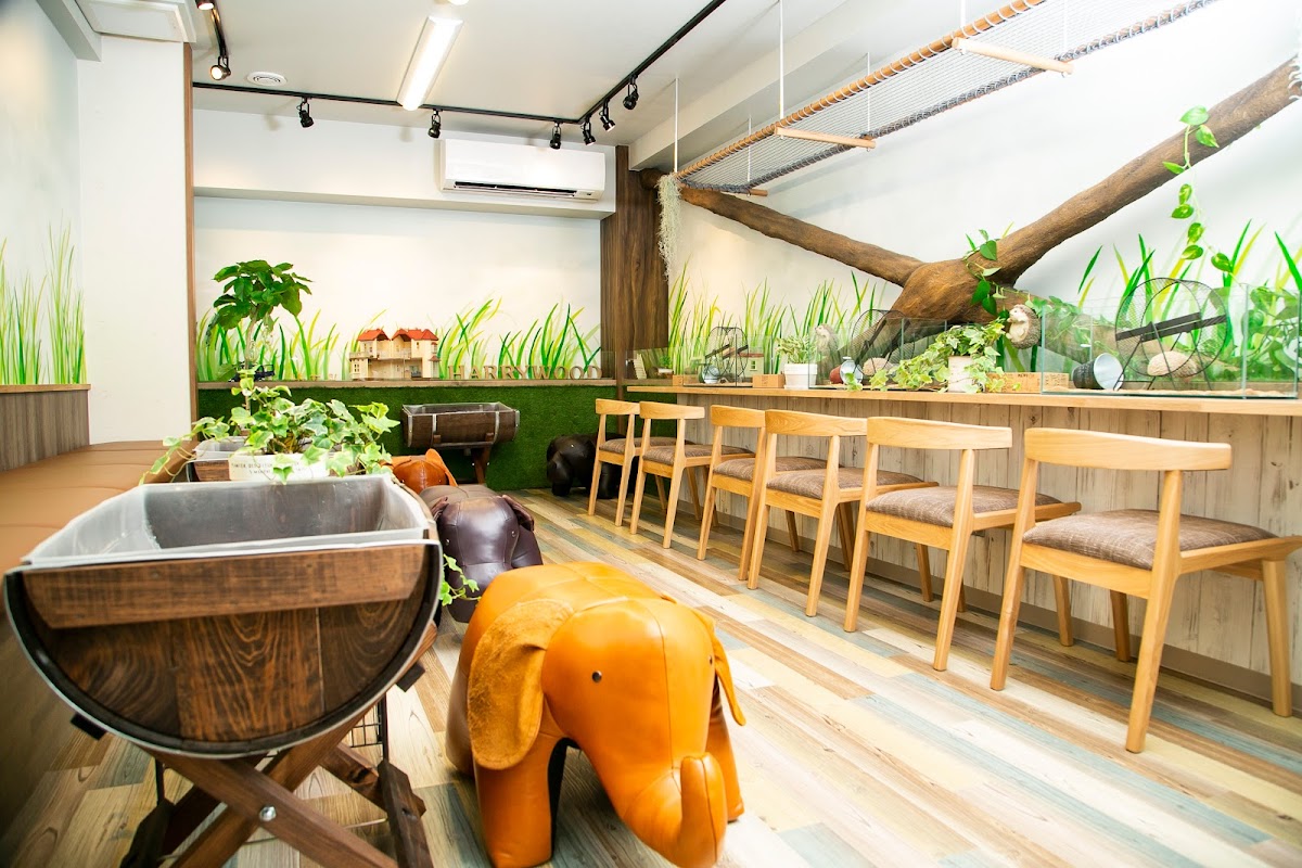 Hedgehog Cafe HARRY WOOD Namba