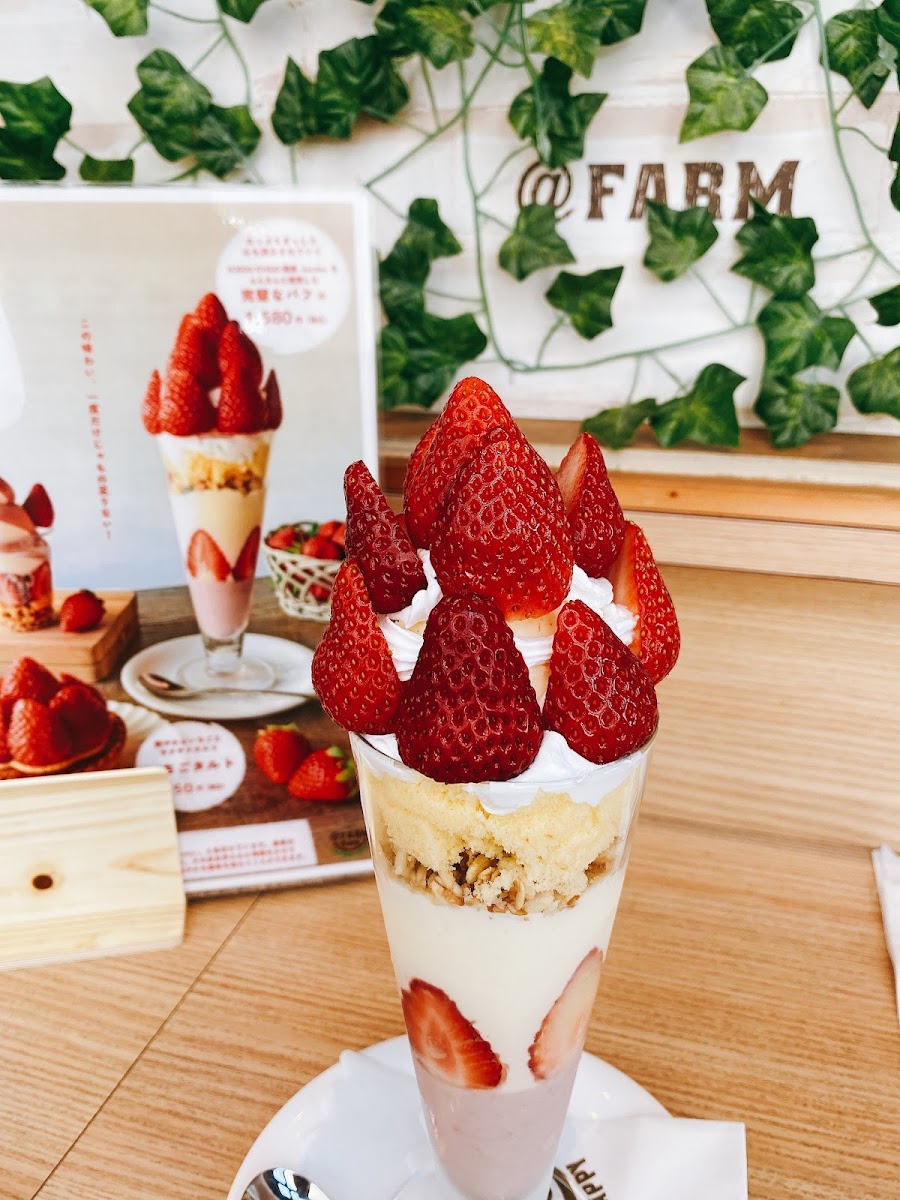 @FARMCafé(アット・ファームカフェ)~いちごパンケーキ・トマトピザ・パスタのお店 - 4