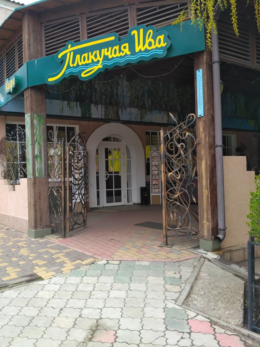 Plakuchaya Yva, Kafe