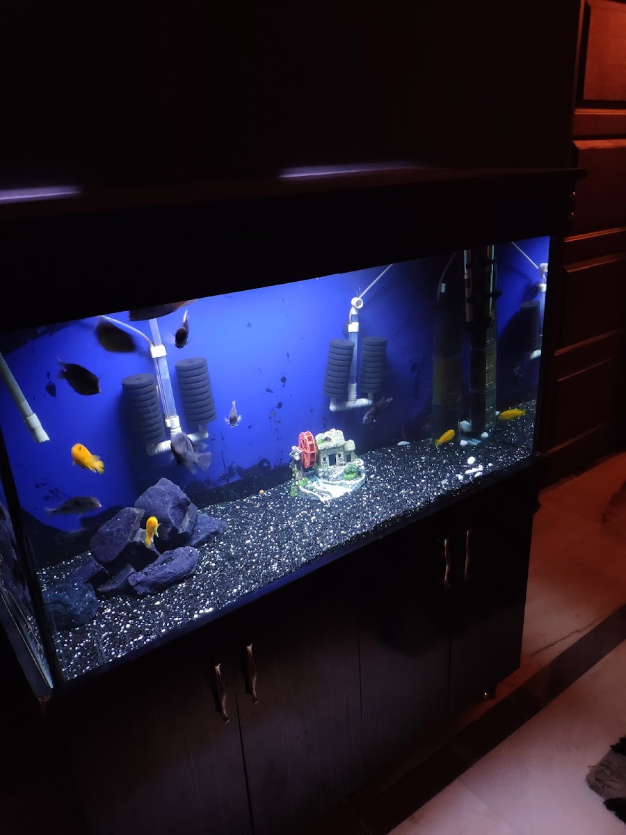 Cevizaltı PlayStation Cafe - 3