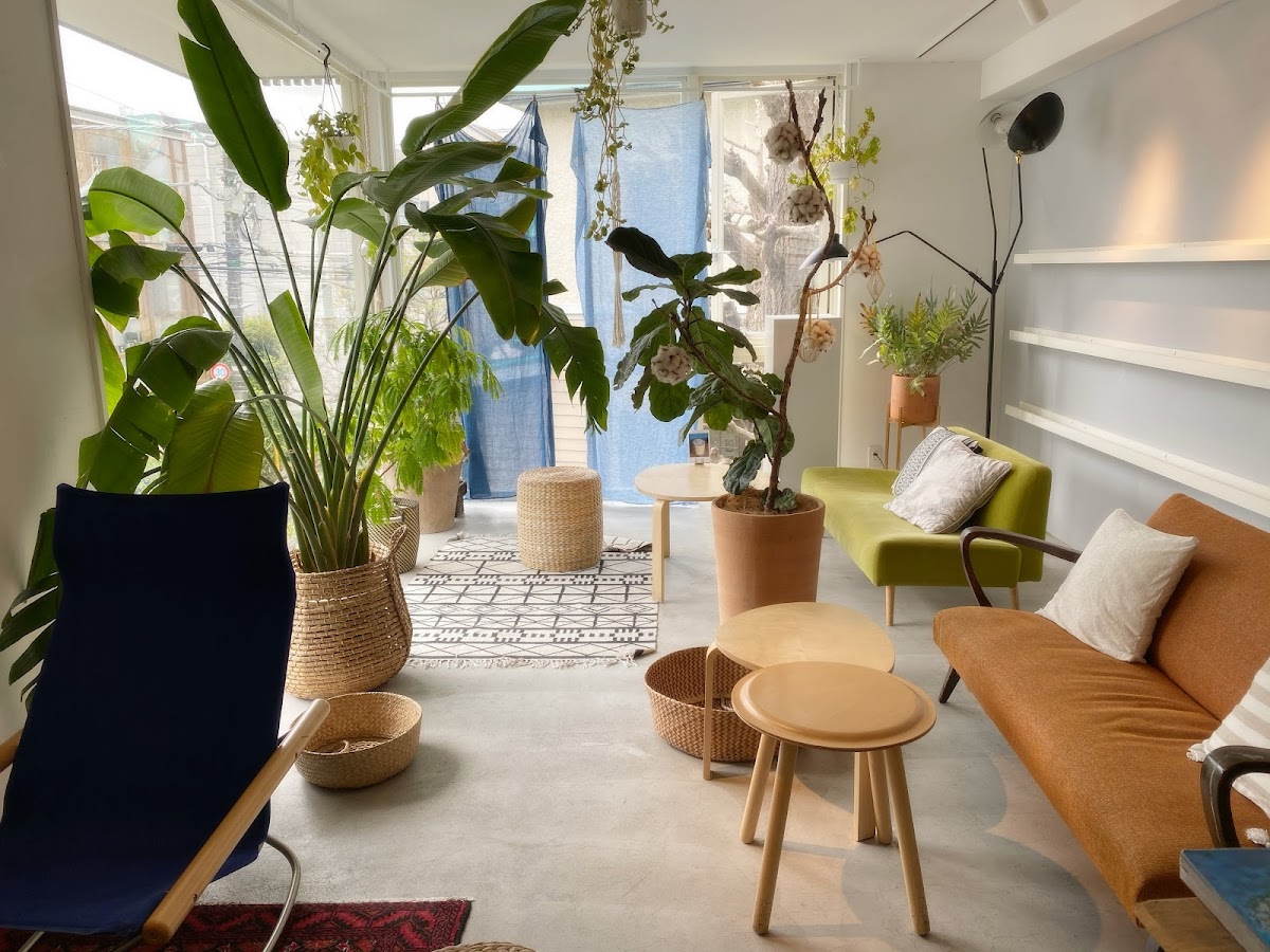 Shelter KUKO cafe&gallery