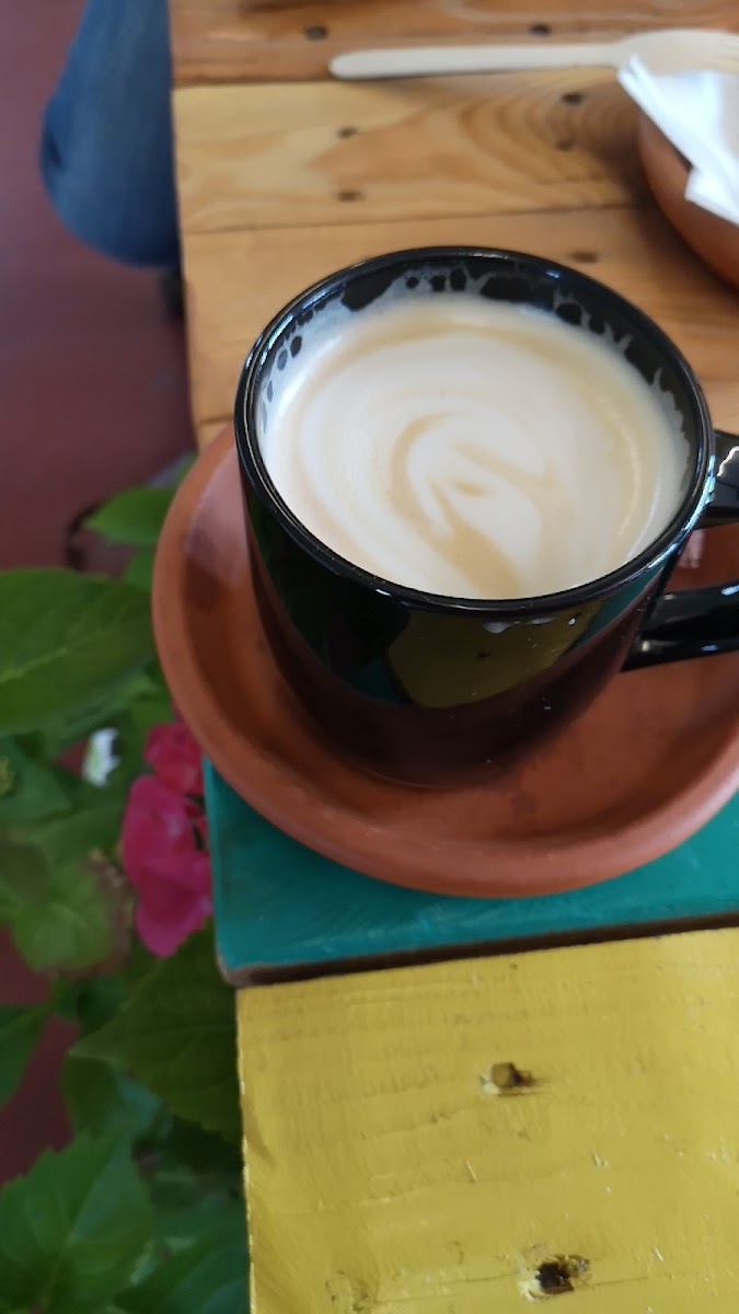 Solstice Coffee Shop & Nursery - 7