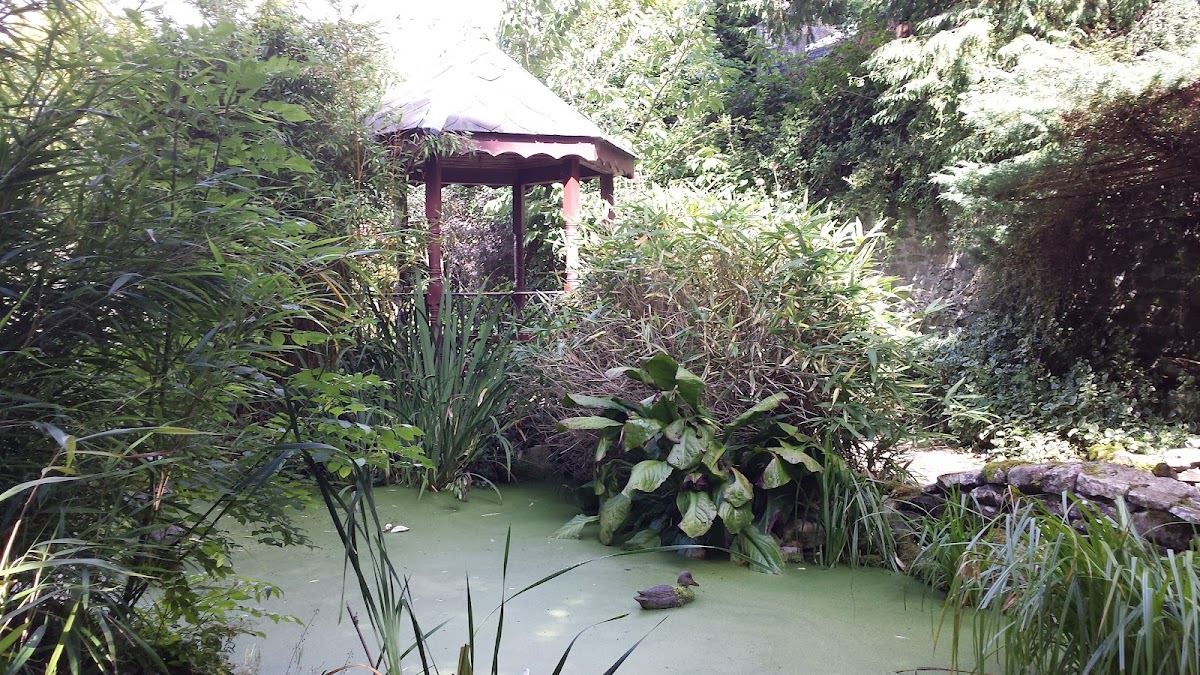 The Watergarden Cafe & Garden Centre - 7