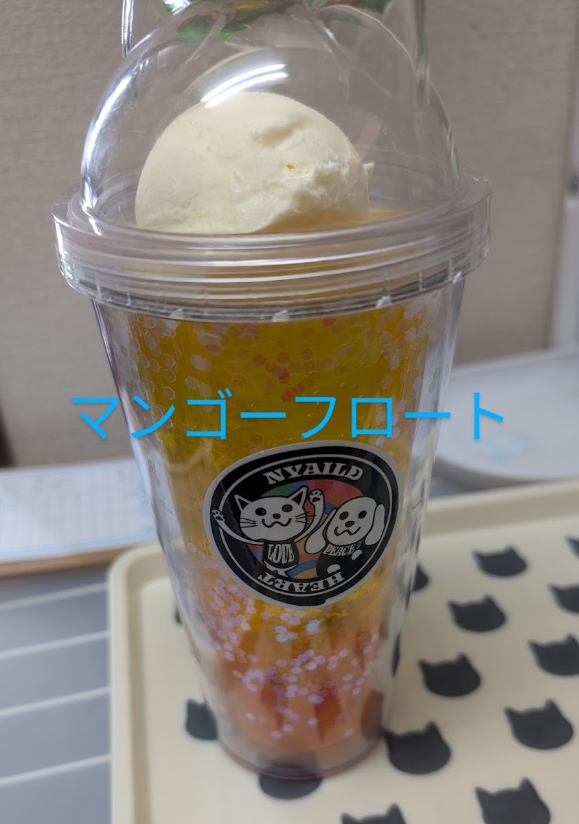 Chihuahua and Cat Cafe - 3