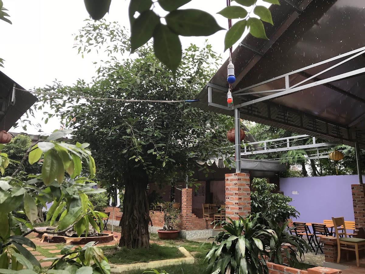 Quán cafe sân vườn MEMORY - 2