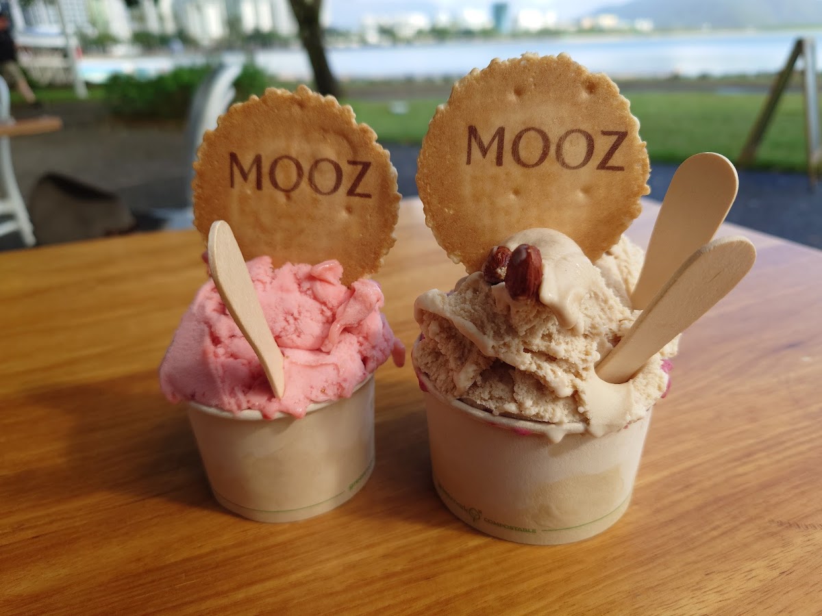 Mooz Gelato & Juice Bar - 5