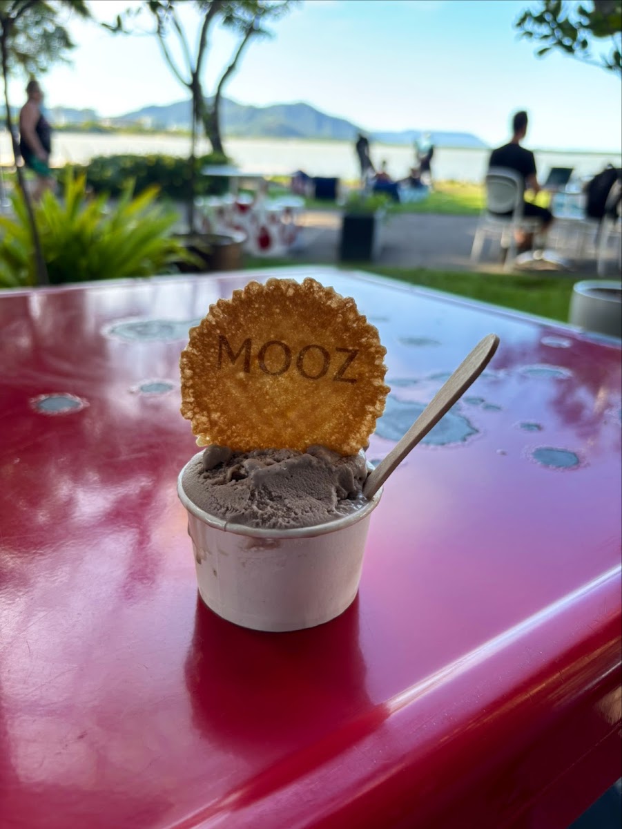 Mooz Gelato & Juice Bar - 6