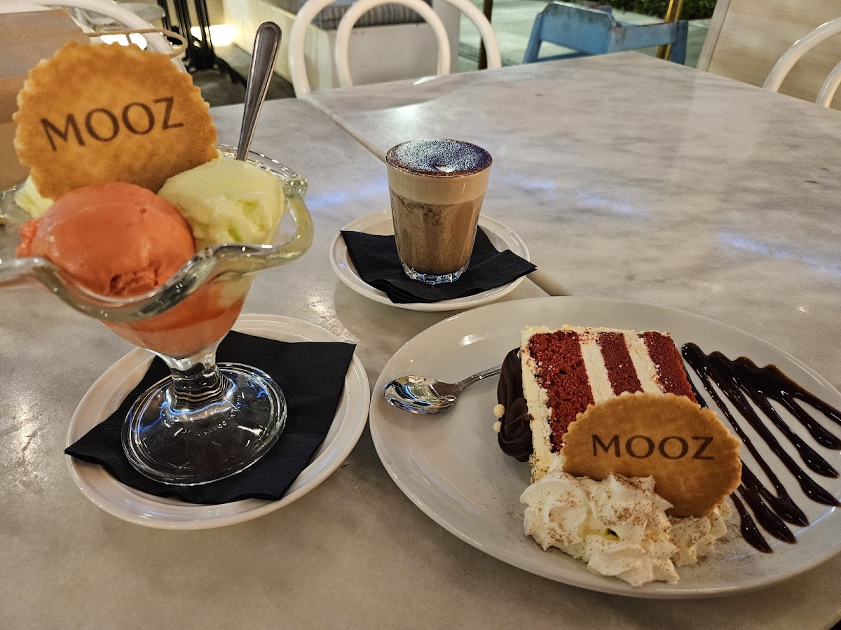 Mooz Gelato & Juice Bar - 9