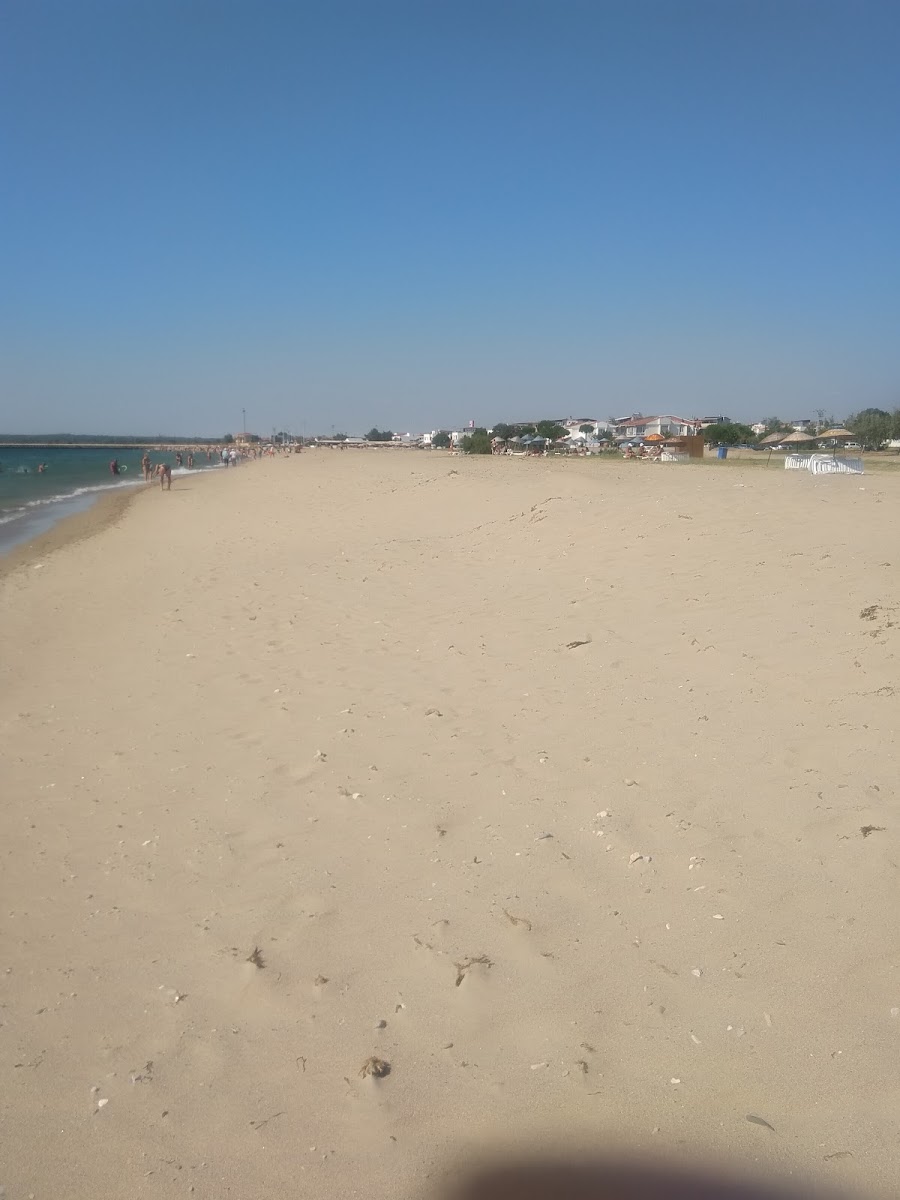 Tezcan Tea Garden - 2