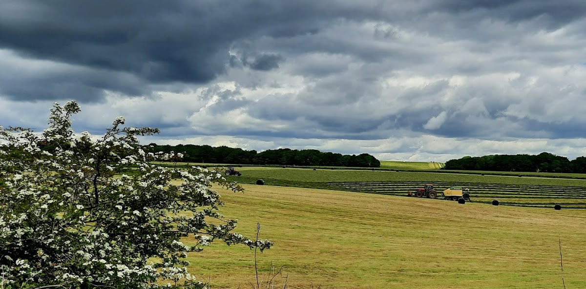 Parsley Hay Refreshments - 4