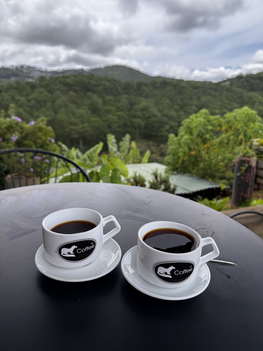 Weasel coffee farm - 3