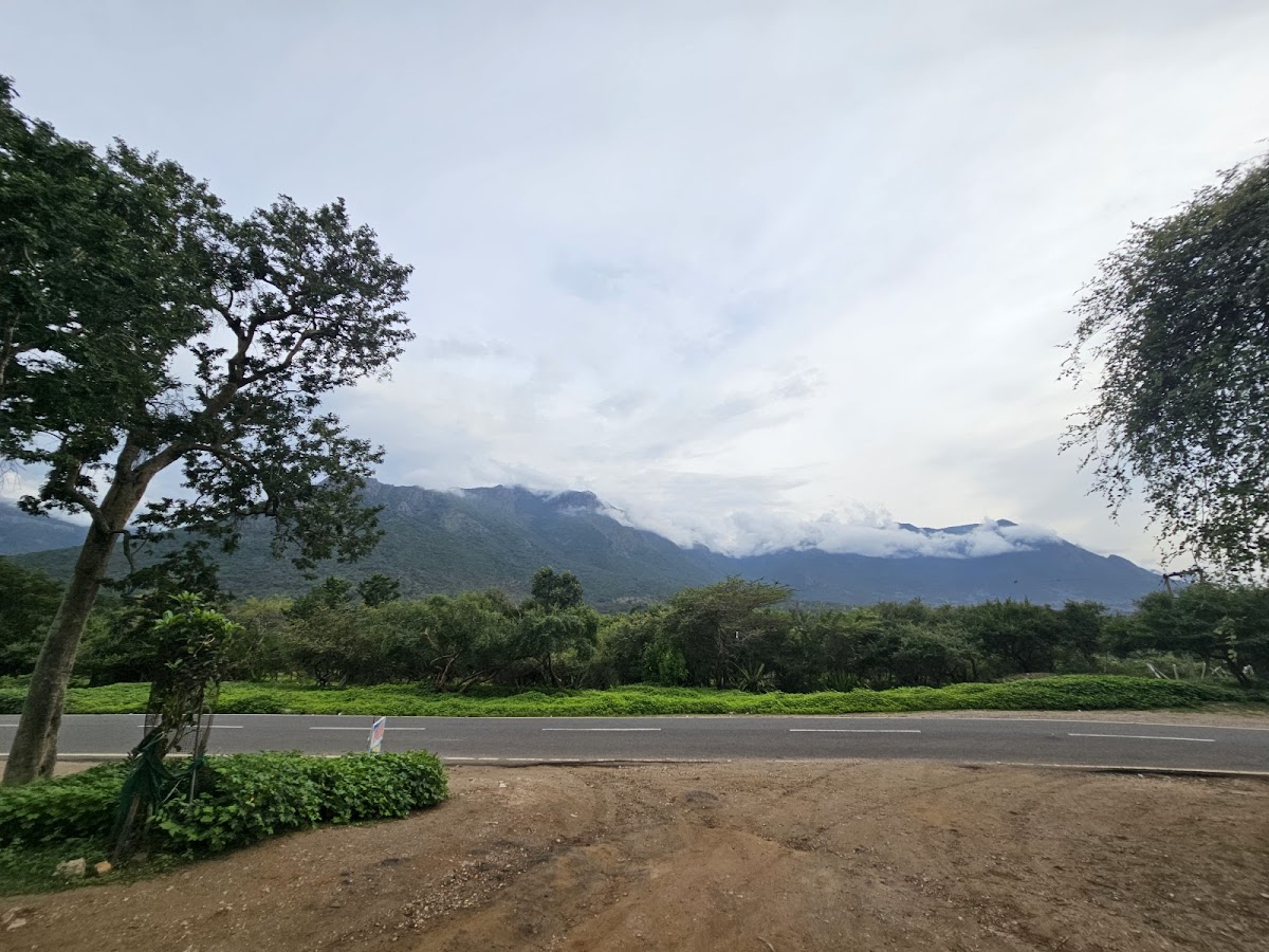 Church Hill Cafe - 2