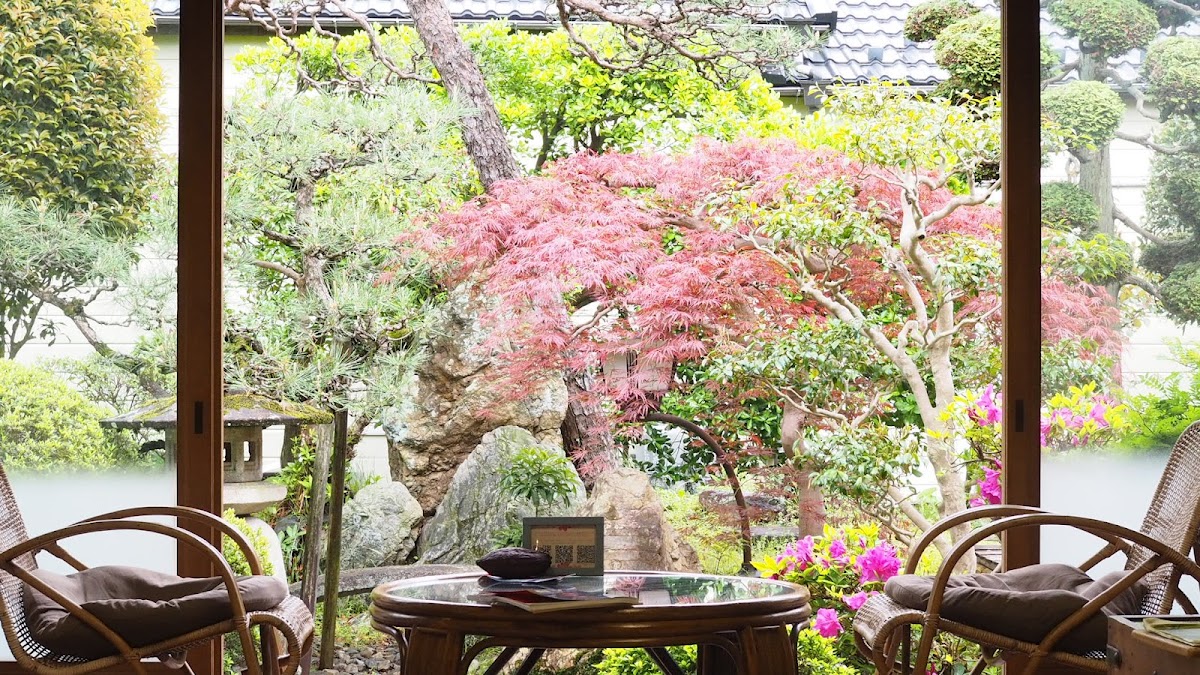 Hareto-Keto Raw Chocolate & Detox Cafe