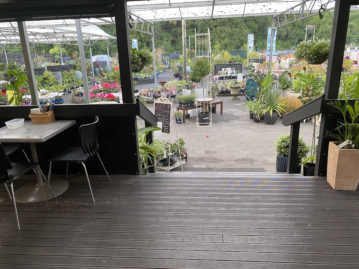 Cafe Botannix New Plymouth