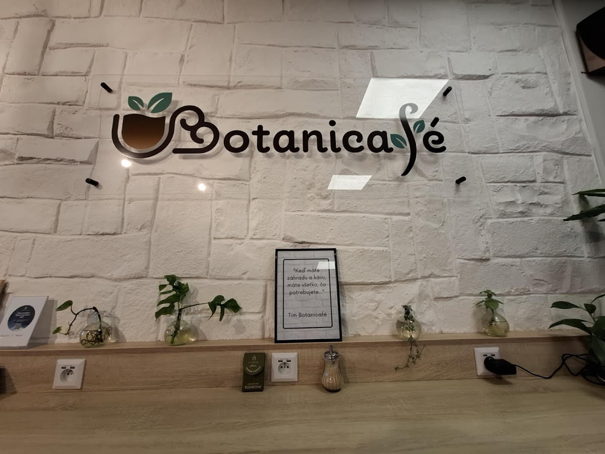 Botanicafé - 4