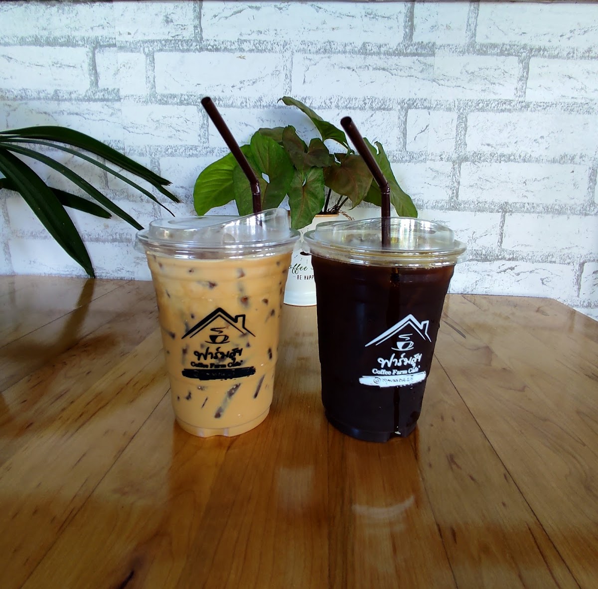 Coffee Farm cafe' - 5