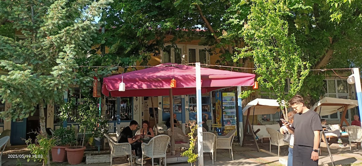 Orta Kahve Karaağaç