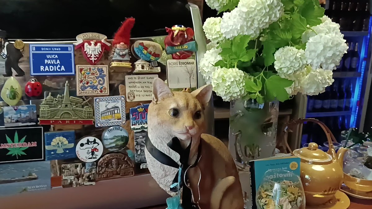 Caffe Bars Domus - 2