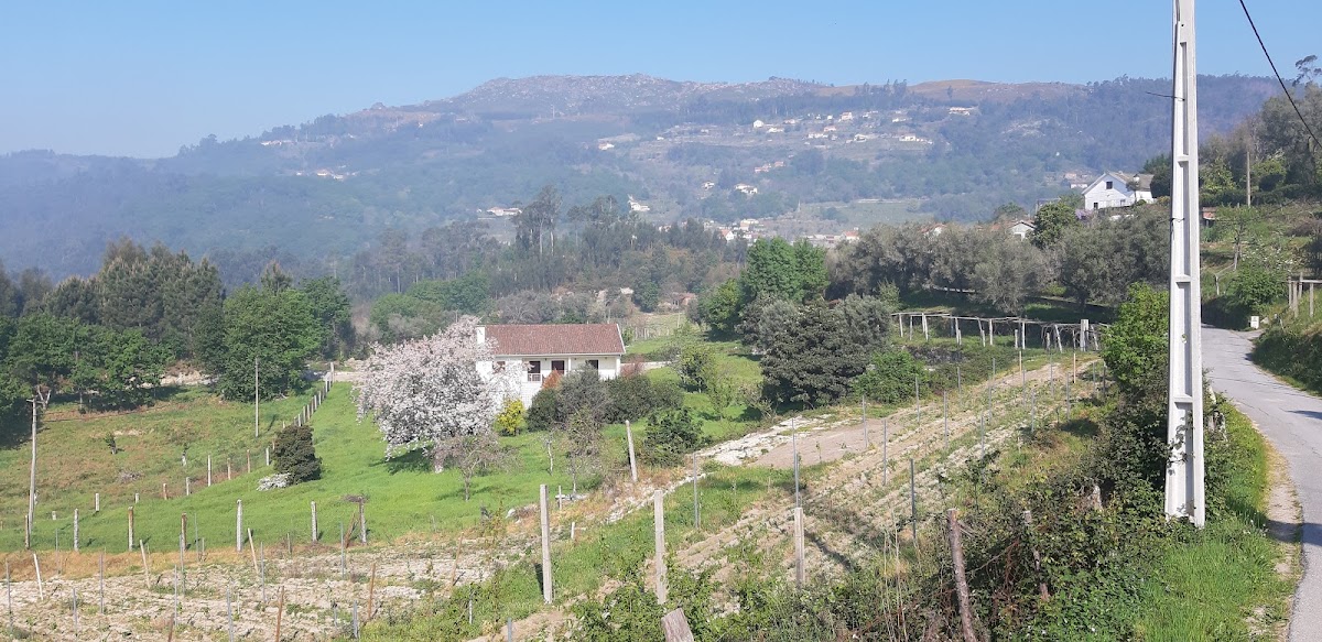 Café das Cruzes - 2